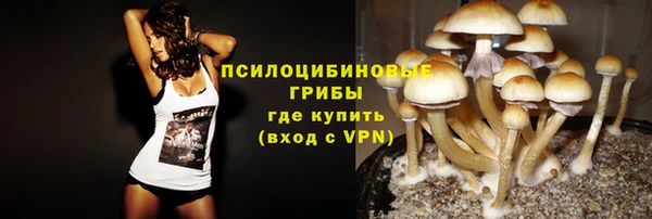 Альфа ПВП Белокуриха
