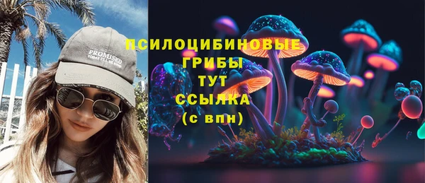 гидра Белоозёрский