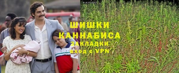 гидра Белоозёрский