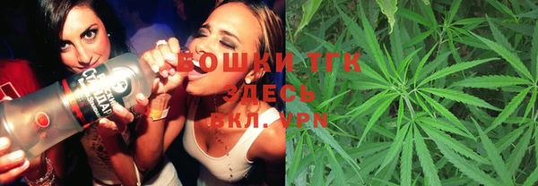 гидра Белоозёрский