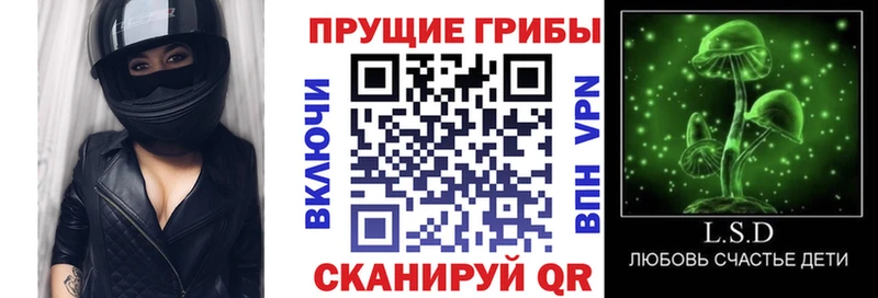 Галлюциногенные грибы мицелий  цены   Дальнегорск 